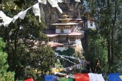 1_tiger_nest-scaled